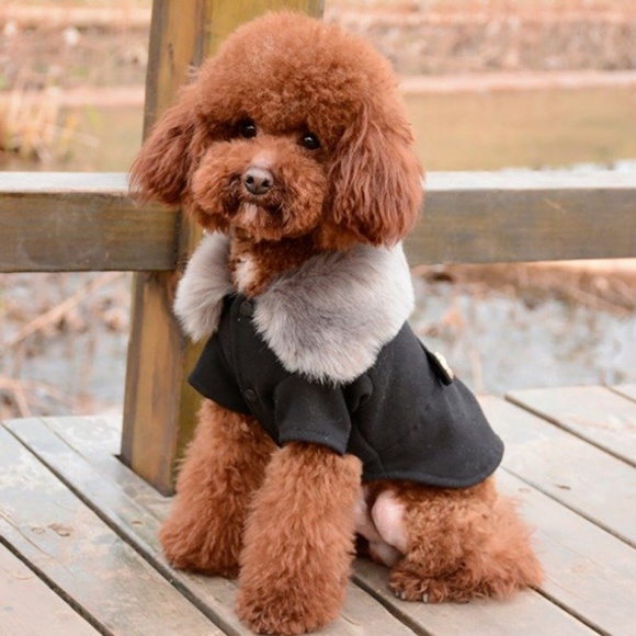 The Shepherd's Knot Sweaters - New Dog Pet Dress Coat Gray Black Fur Collar Small